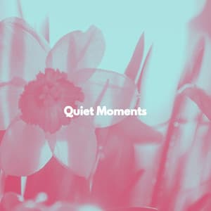 Quiet Moments - Musica de Elevador