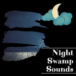 Night Swamp Sounds - Night Nature Sounds