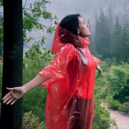 Rainy Oasis: Ethereal Melodies for Tranquility Seekers - Rain Sound Studio