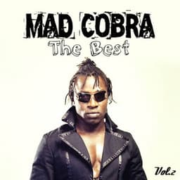 The Best, Vol. 2 - Mad Cobra