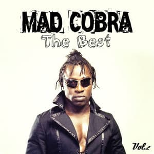 The Best, Vol. 2 - Mad Cobra