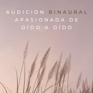 Audición Binaural Apasionada De Oído A Oído - La fábrica de ritmos binaurales
