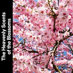 The Heavenly Scents of the Blossoms - Weather Sounds