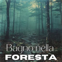 Bagno nella foresta: Musica di meditazione giapponese e immersione nella natura, Ambiente Shinrin-Yoku - Relax accademia di benessere