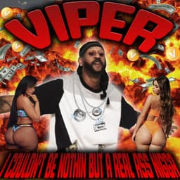 I Couldn't Be Nothin But A Real Ass Nigga - Viper
