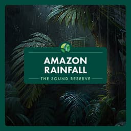 Amazon Rainfall - The Sound Reserve