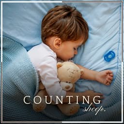 Counting Sheep - Relaxation And Meditation