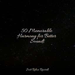 50 Memorable Harmony for Better Sounds - New Age
