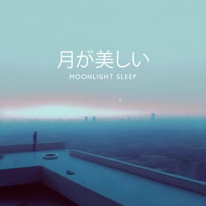 月が美しい: Moonlight Sleep, チルナイト, 星空観察, ブルーベリーハニー - 睡眠音楽の巨匠