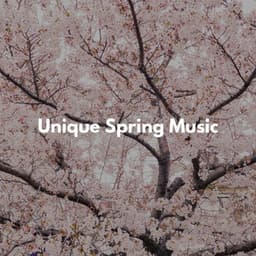 Vintage Jazz for Hotel Bar - Jazz Rilassante Collezioni