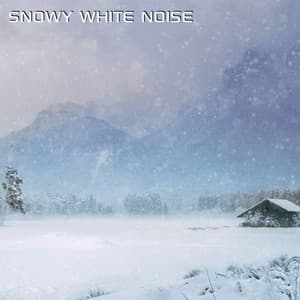 Snowy White Noise - White Noise Soundscapes