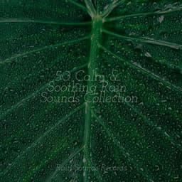 50 Calm & Soothing Rain Sounds Collection - PowerThoughts Meditation Club