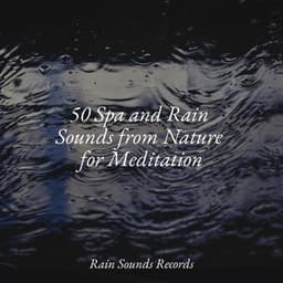 50 Spa and Rain Sounds from Nature for Meditation - Canciones de Cuna para Bebés Acadèmico