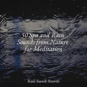 50 Spa and Rain Sounds from Nature for Meditation - Canciones de Cuna para Bebés Acadèmico