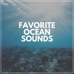 Favorite Ocean Sounds - Sea of Waves