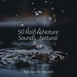 50 Rain & Nature Sounds - Natural Rain - Spa Relaxation