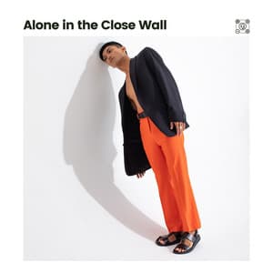 Alone in the Close Wall - The Background Noise Company