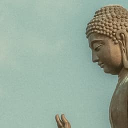 1 Night With White Noise: Soothing Comfort - White Noise