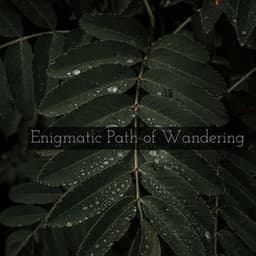 Enigmatic Path of Wandering - Spiritloom