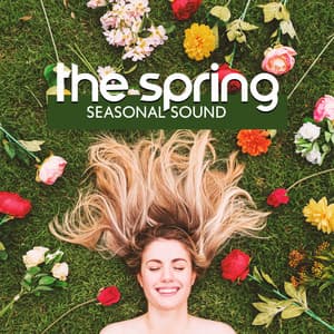 The Spring Seasonal Sound - Elevation Of The Spirit