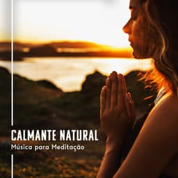 Calmante Natural: Música para Meditação da Atenção Plena com Sons da Natureza e Vibrações Suaves, Alívio do Estresse e Cura da Insônia - Meditação e Espiritualidade Musica Academia
