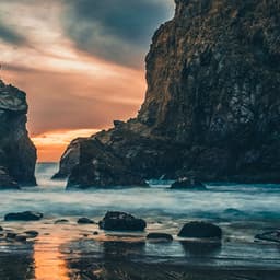 50 Beachfront Melodies: Driftwood Dreams by Water - Sea Waves Sounds