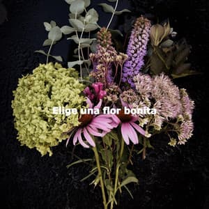 Elige una flor bonita - Música Chill para Cafés