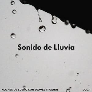 Sonido De Lluvia: Noches De Sueño Con Suaves Truenos Vol. 1 - Phall del trueno