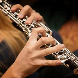 Tranquil Orchestra Music for Relaxation - Raymond Floyd