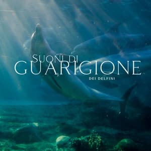 Suoni di guarigione dei delfini - Musica terapeutica - Club di Relax Mentale