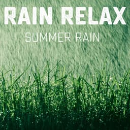 Summer Rain - Rain relax