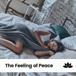 The Feeling of Peace - Instrumental Sleeping Music