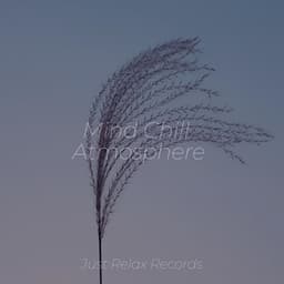 Mind Chill Atmosphere - Relaxing Music