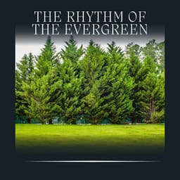 The Rhythm of the Evergreen - Nature Label