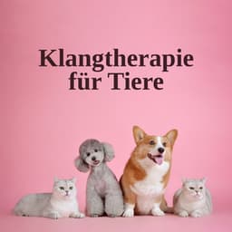 Klangtherapie für Tiere - Entspannungmusik Academy