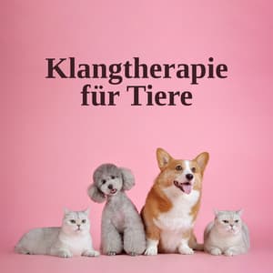 Klangtherapie für Tiere - Entspannungmusik Academy