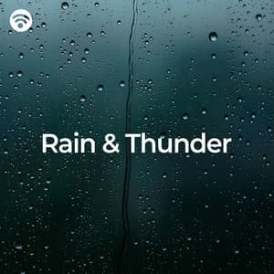 Rain and Thunder Sounds - Thunderstorm Sounds