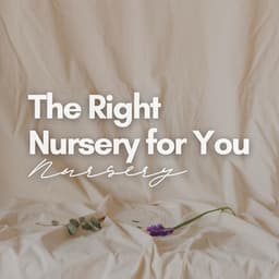 The Right Nursery for You - Nursery Rhymes