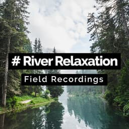 # River Relaxation - Field Recordings