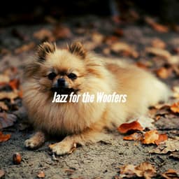 Jazz for the Woofers - Relaxing Dog Music Playlists
