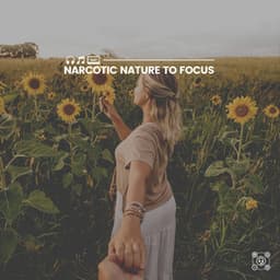 Narcotic Nature to Focus - Nature Sounds Nature Music