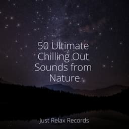 50 Ultimate Chilling Out Sounds from Nature - Music For Absolute Sleep