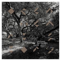 Open Heart Story - Luke Howard