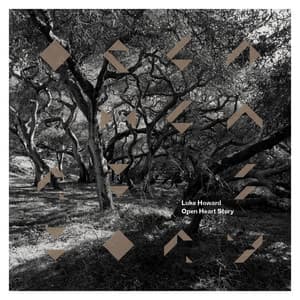Open Heart Story - Luke Howard