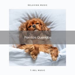 2021 Perritos Queridos - Biblioteca de Música Para Mascotas