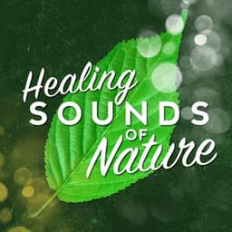 Healing Sounds of Nature - Sleep Music with Nature Sounds Relaxation