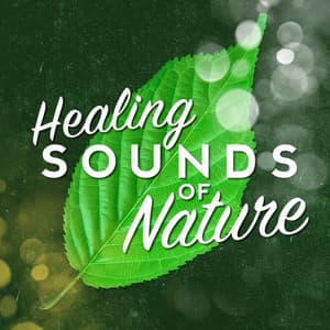 Healing Sounds of Nature - Sleep Music with Nature Sounds Relaxation
