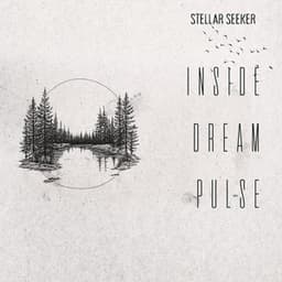 Inside Dream Pulse - Stellar Seeker