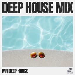 Deep House Mix - Mr. Deep House