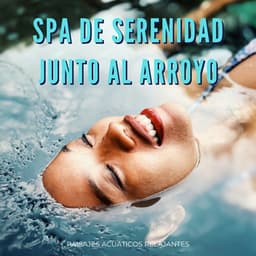 Spa De Serenidad Junto Al Arroyo: Paisajes Acuáticos Relajantes - Arroyos y niebla